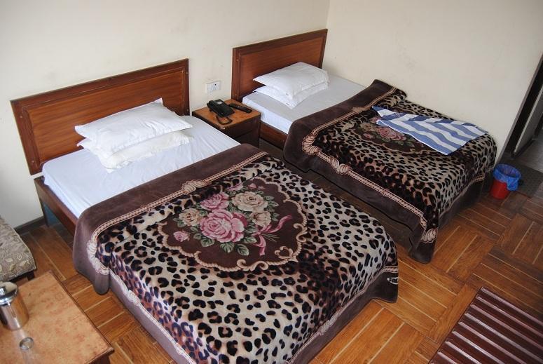 Maharaja Palace Hotel Kathmandu Bilik gambar